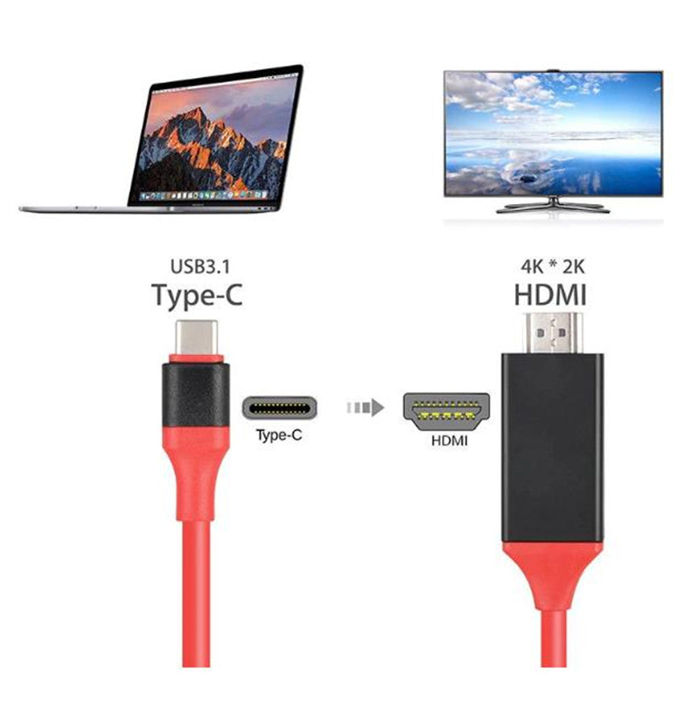 Câble de chargement adaptateur USB-C mâle vers HDMI mâle (2 m)