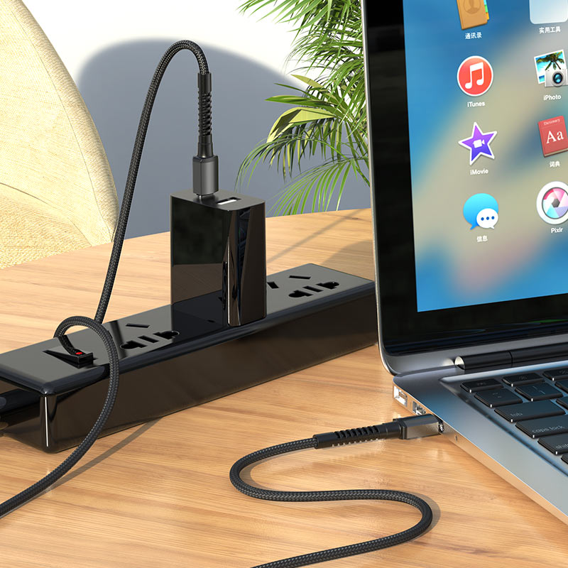 (60 W) Câble de données de charge rapide USB-C vers USB-C 3A (1 m)