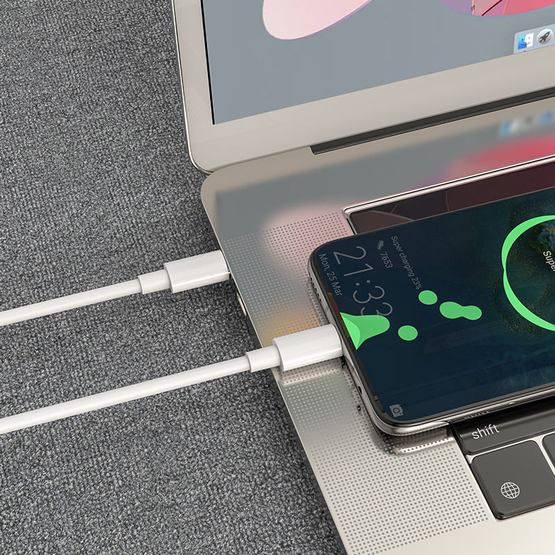 (100 W) Câble de données de charge rapide USB-C vers USB-C 5A